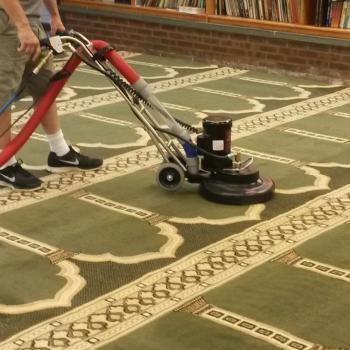 Carpet Cleaning Gallery 1
